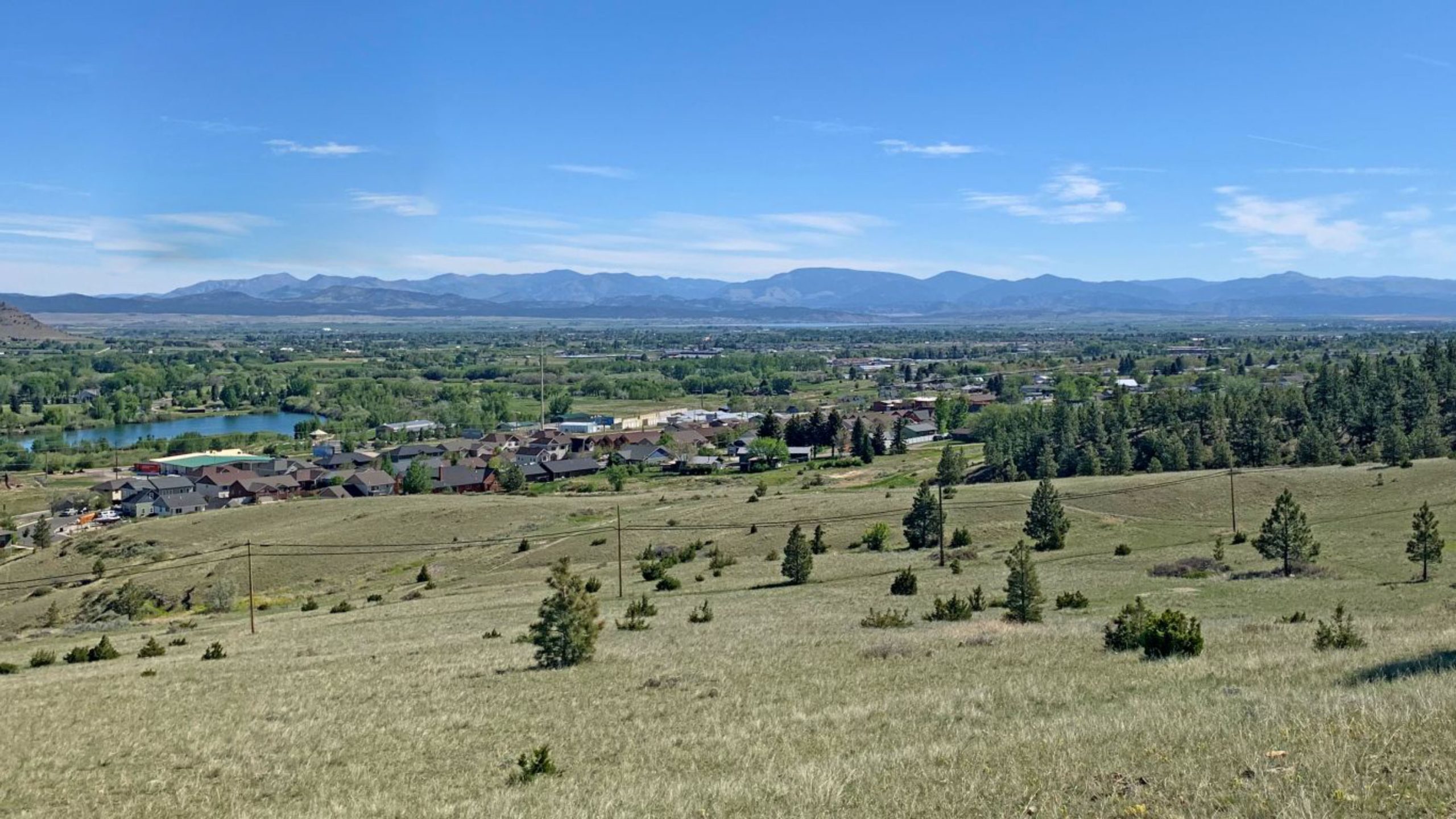 Westside Woods Westside Woods